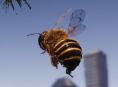 Bee Simulator släpps till våren